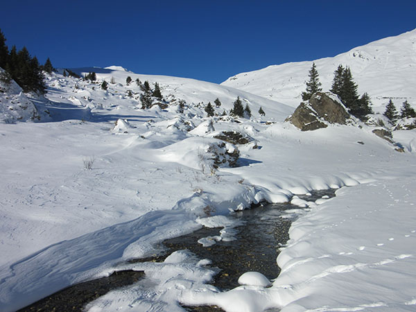 Neige et ruisseau